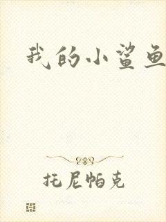 我的小鲨鱼封面