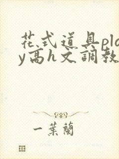花式道具play高h文调教