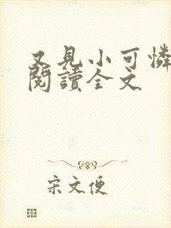 又见小可怜免费阅读全文封面