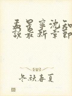 孟星宁沈知聿小说最新章节免费阅读