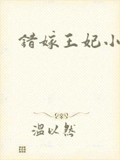 错嫁王妃小说