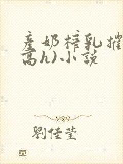 产奶榨乳摧奶(高h)小说封面