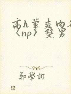 高h荤爽肉欲文〈np〉双男