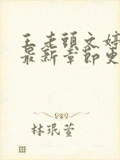 王老头文婷小说最新章节更新时间