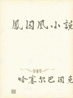 凤囚凰小说