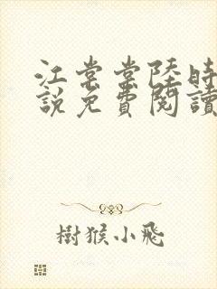 江棠棠陆时晏小说免费阅读封面