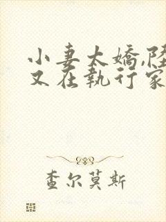 小妻太娇,陆爷又在执行家法封面