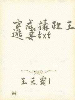 穿成摄政王侍爱逃妻txt