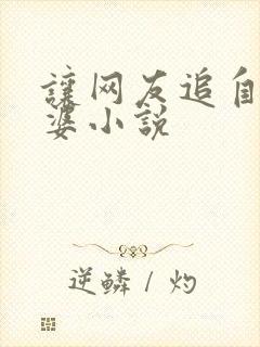 让网友追自己老婆小说封面