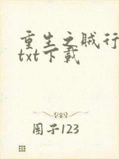 重生之贼行天下txt下载