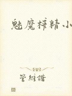 魅魔榨精小说