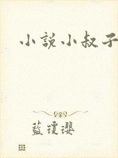 小说小叔子
