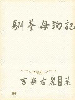 驯养母狗记封面