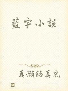 蓝宇小说