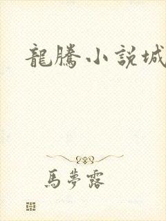 龙腾小说城