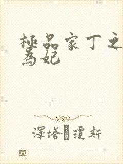 极品家丁之册母为妃封面