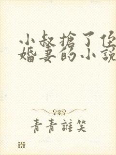 小叔抢了侄子未婚妻的小说