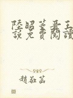 陆昭菱晋王的小说免费阅读