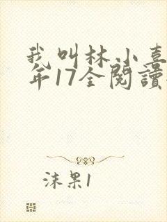 我叫林小喜,今年17全阅读全文txt