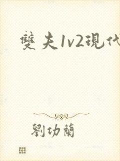 双夫1v2现代封面