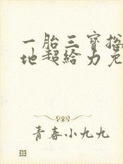 一胎三宝总裁爹地超给力免费阅读