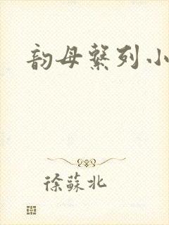 韵母系列小说