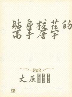 贴身校花的贴身高手唐宇