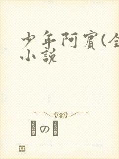 少年阿宾(全)小说