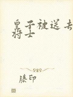 皇子被送去犒劳将士