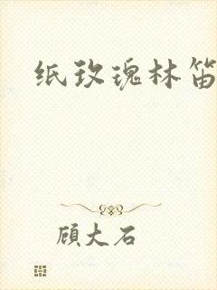 纸玫瑰林笛儿封面