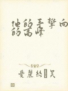 他的手攀向了我的高峰封面