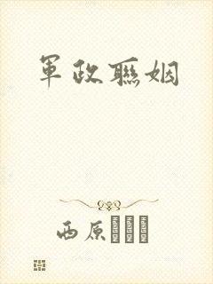 军政联姻封面