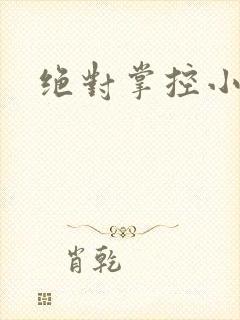 绝对掌控小说