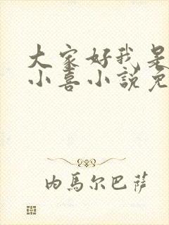 大家好我是叫林小喜小说免费阅读