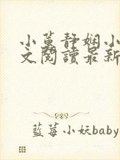 小蕙静娴小说全文阅读最新章节封面
