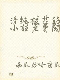 清纯校花的日常小说免费阅读