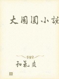 大团圆小说