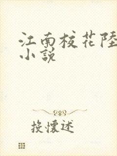 江南校花陆冰嫣小说封面