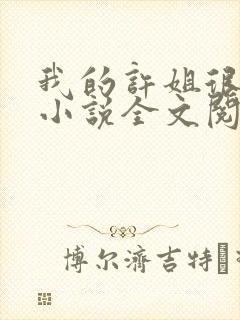 我的许姐很温柔小说全文阅读
