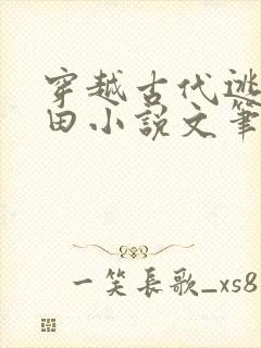 穿越古代逃荒种田小说文笔轻松