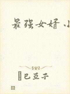 最强女婿 小说