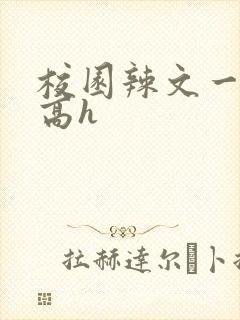 校园辣文一对一高h