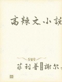 高辣文小说