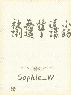 被无情道小师弟倒追了讲的什么