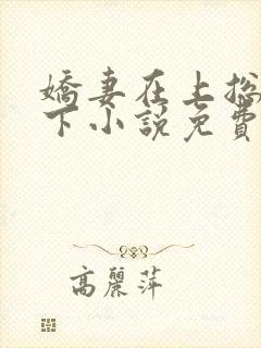 娇妻在上总裁在下小说免费阅读