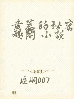 黄蓉的秘密 笔趣阁 小说封面