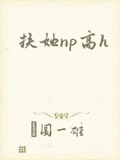 扶她np高h
