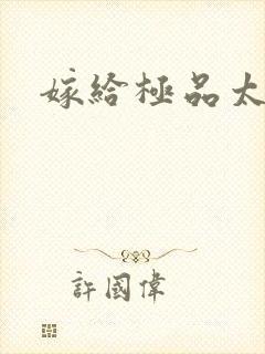 嫁给极品太子封面