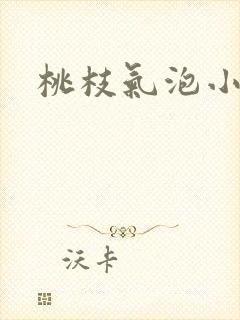 桃枝气泡小说