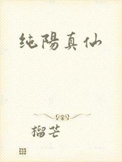 纯阳真仙